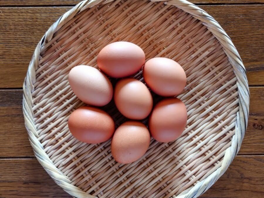 昨年比75%の値上がり。卵不足から考える持続可能でストレスフリーな養鶏とは