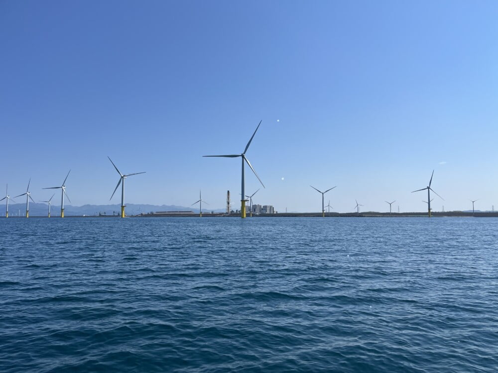 風力発電が環境や生物に及ぼす影響とは？「環境影響評価」から読み解く、再生可能エネルギーのあるべき姿