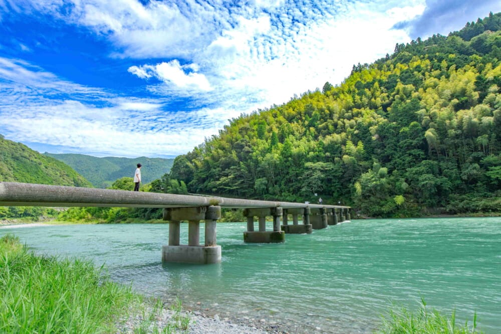 高知県で実現する多様な暮らし方とは。移住者が自身の体験を語るPR動画を公開