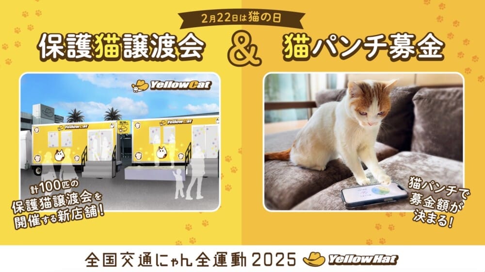 「猫の日」猫を愛でるだけじゃなく守る日にしよう イエローハットで保護猫譲渡会開催