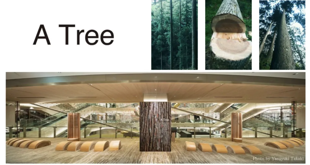 500年の森が銀座に息づく──GINZA SIXで吉野杉を使った3年にわたる