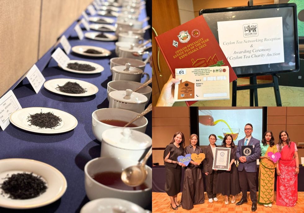 セイロンティーから始まる社会貢献の循環。　　　　「セイロンティー茶園品評会 2025」イベントを通して感じた、一杯に込められた女性たちの物語