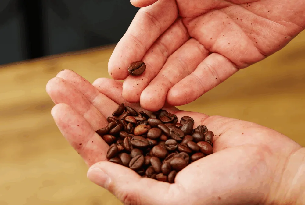 一杯のコーヒーが未来を変える 片岡物産「モンカフェ」がリニューアル