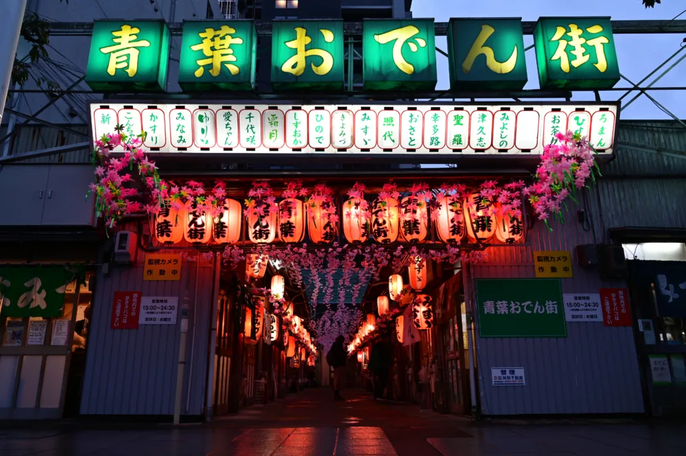 静岡市は“夜景の街”だって知ってた? 期間限定イルミネーションや