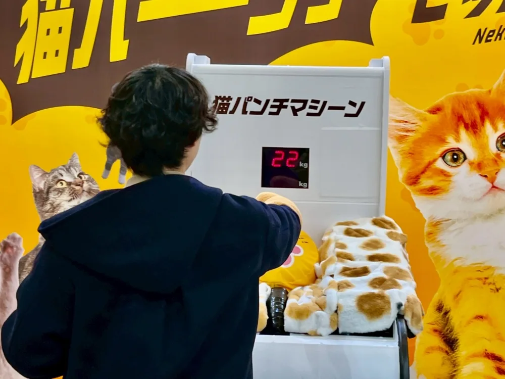 2月22日は「猫を守る日」へ、渋谷発・猫パンチ募金が広げる優しい交通