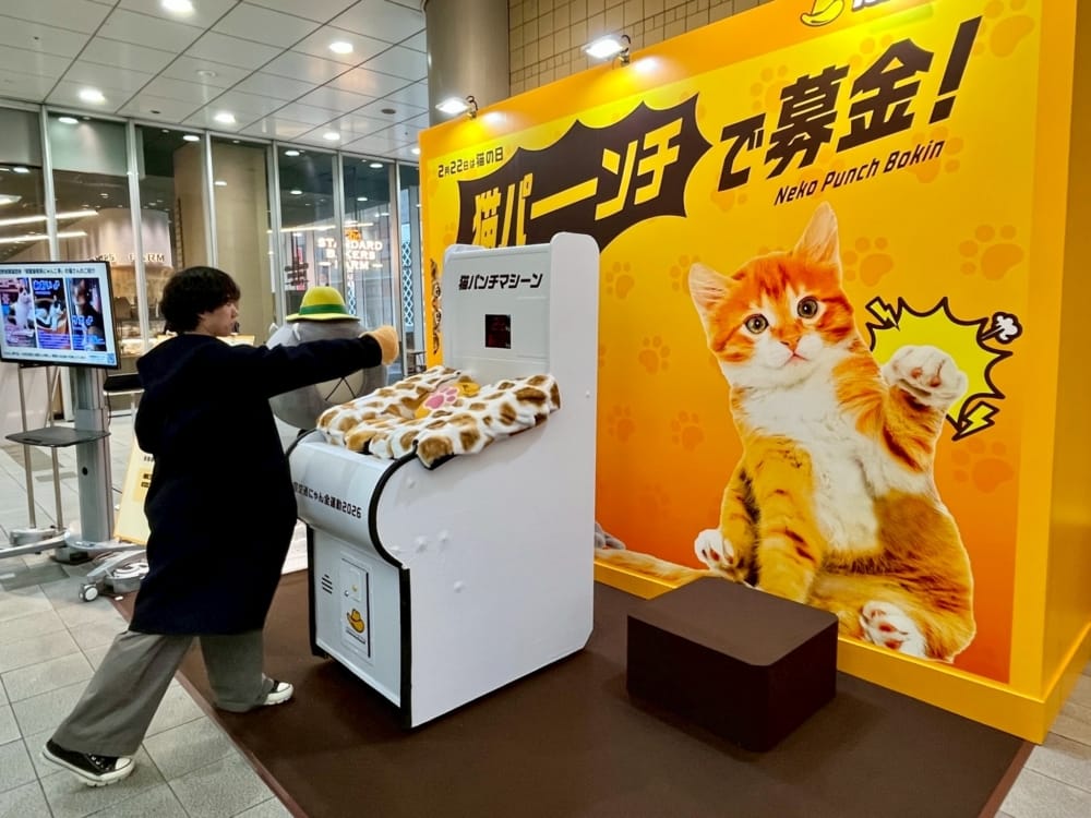 2月22日は「猫を守る日」へ、渋谷発・猫パンチ募金が広げる優しい交通社会