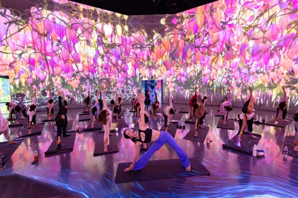 麻布台ヒルズ×チームラボボーダレス。アートと身体がひらく、都市型ウェルビーイングの新しいかたち