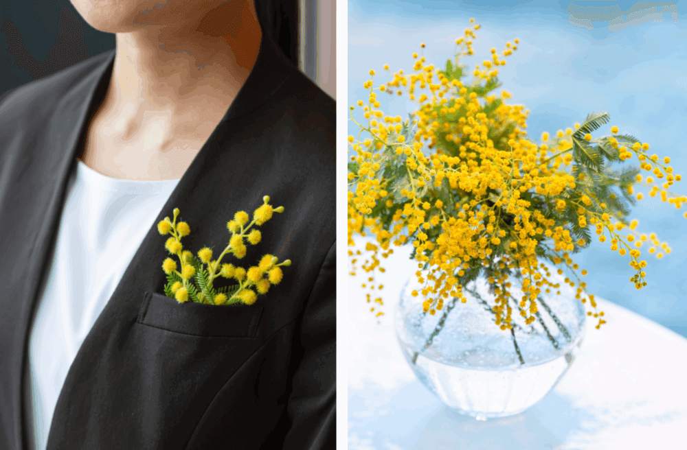 ミモザが彩るホテル空間。国際女性デーに考える、ジェンダー平等のかたち|三井不動産ホテルマネジメントが実践する体験型D&I